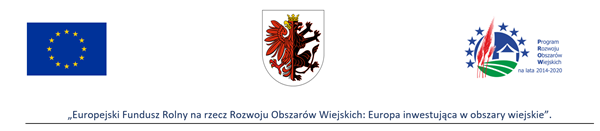 Nadroz logo1