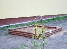 PLAC ZABAW W PRĘCZKACH-10