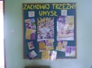 ZACHOWAJ TRZEŹWY UMYSŁ 2010-38